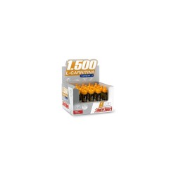 NUTRISPORT L-CARNITINA 1500 FRESA 1 VIAL